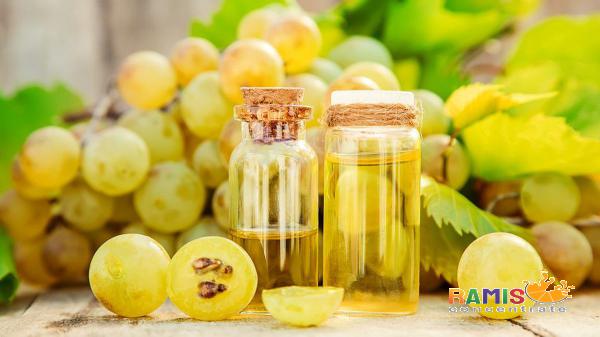 Frozen White Grape Concentrate Supplier