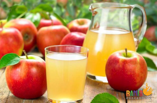 Powdered Apple Juice Concentrate Manufacturer