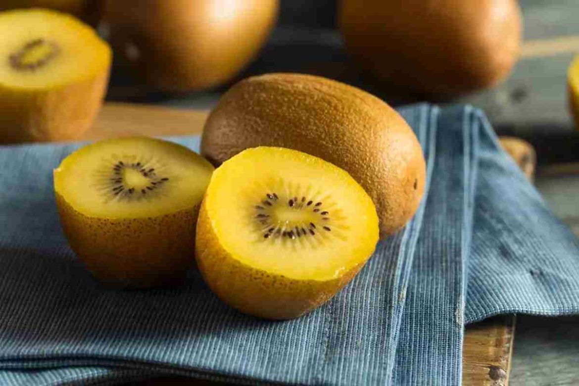 Golden kiwi suppliers best price