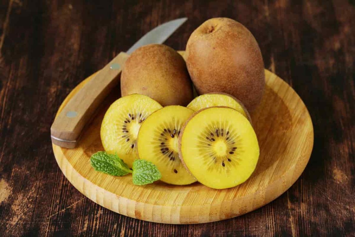 Top quality golden sweet kiwi