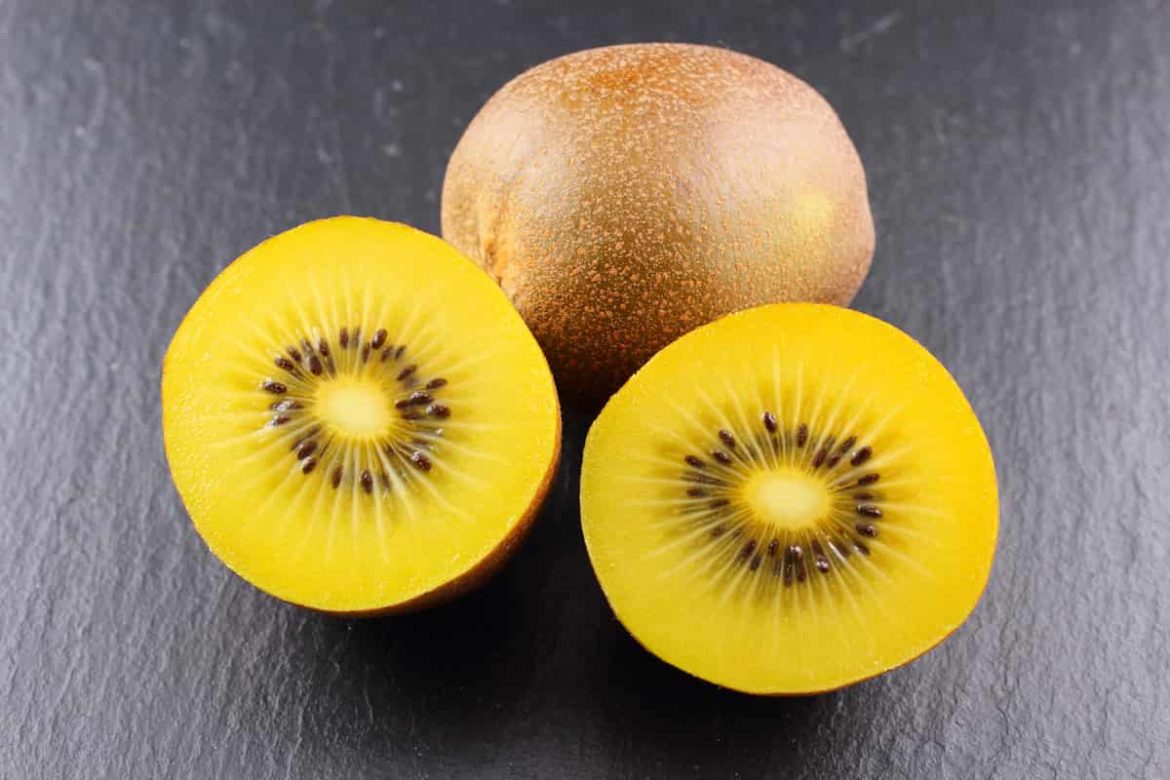 Supply golden kiwi fruit