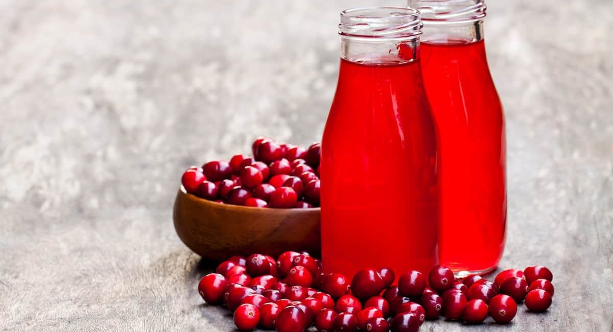  The Best Cranberry Fruit Concentrate + Great Purchase Price 
