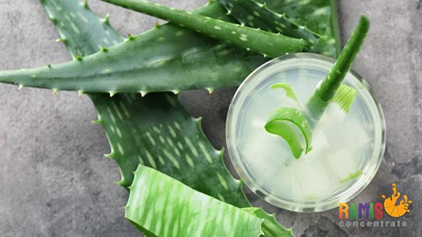 natural aloe vera juice glass bottle with pulp